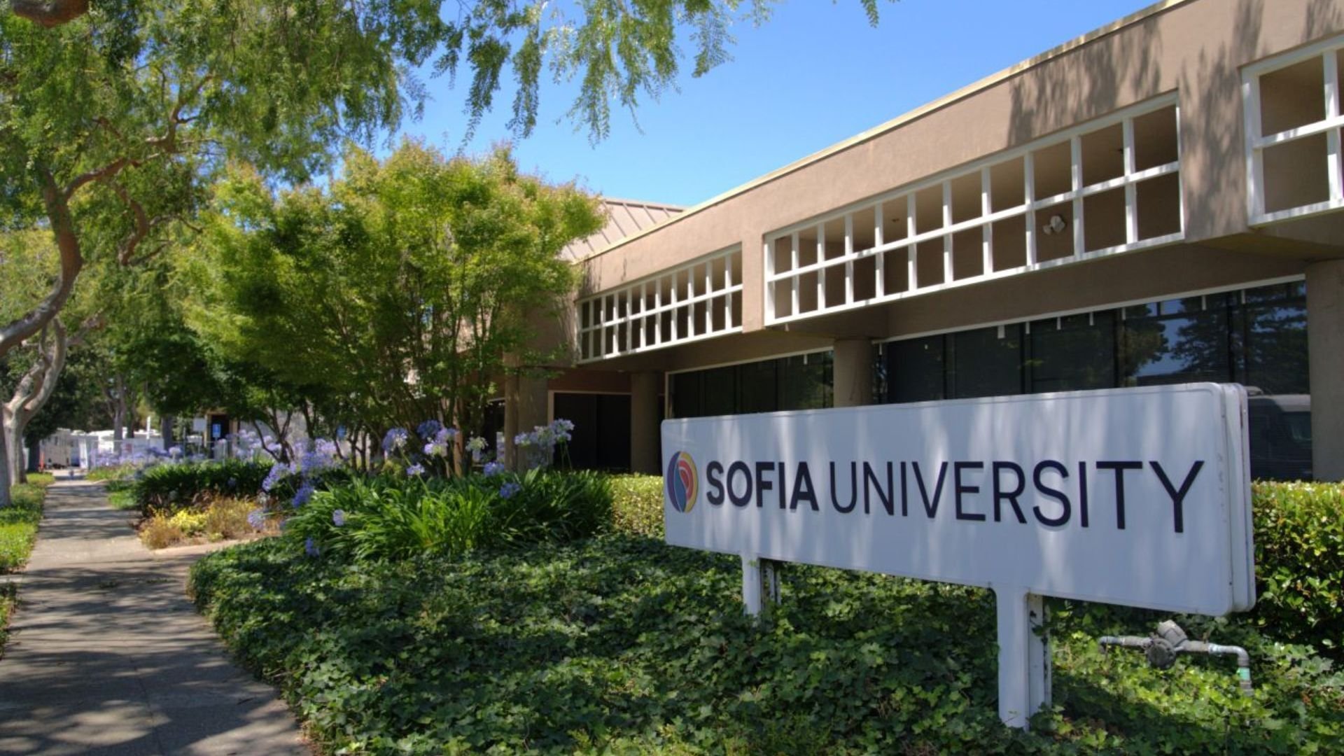 索菲亚大学 Sofia University
